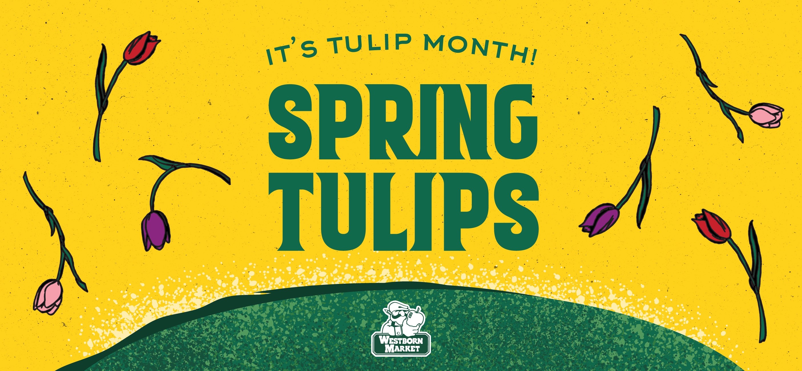 About:Its Tulip Season!