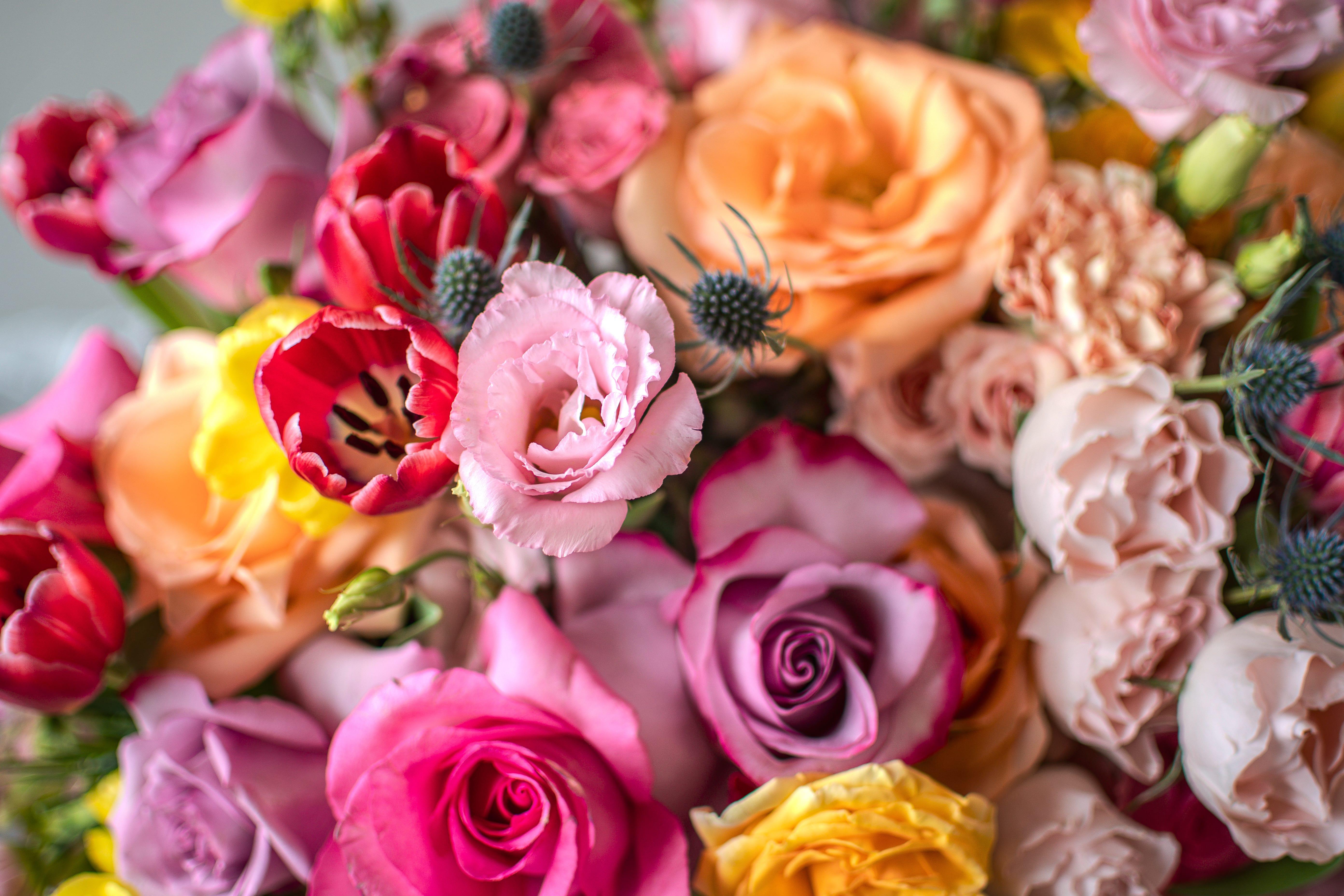 About:Westborn Market Departments