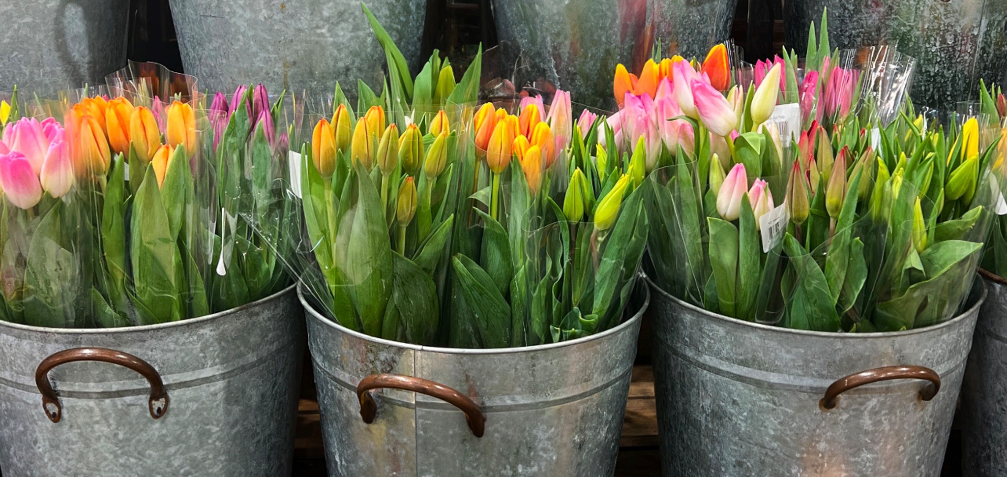 About:Westborn Market Departments