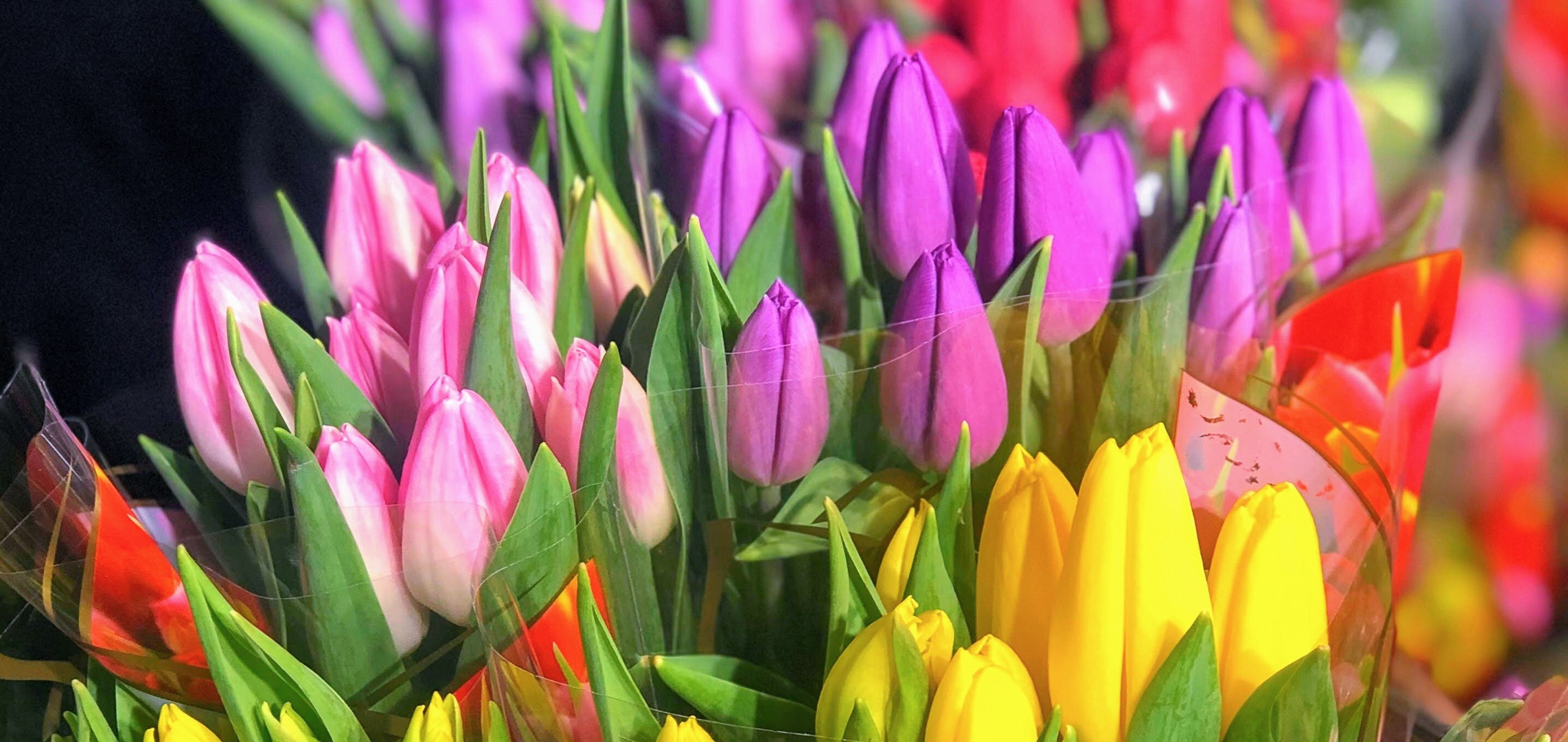 About:Westborn Market Departments