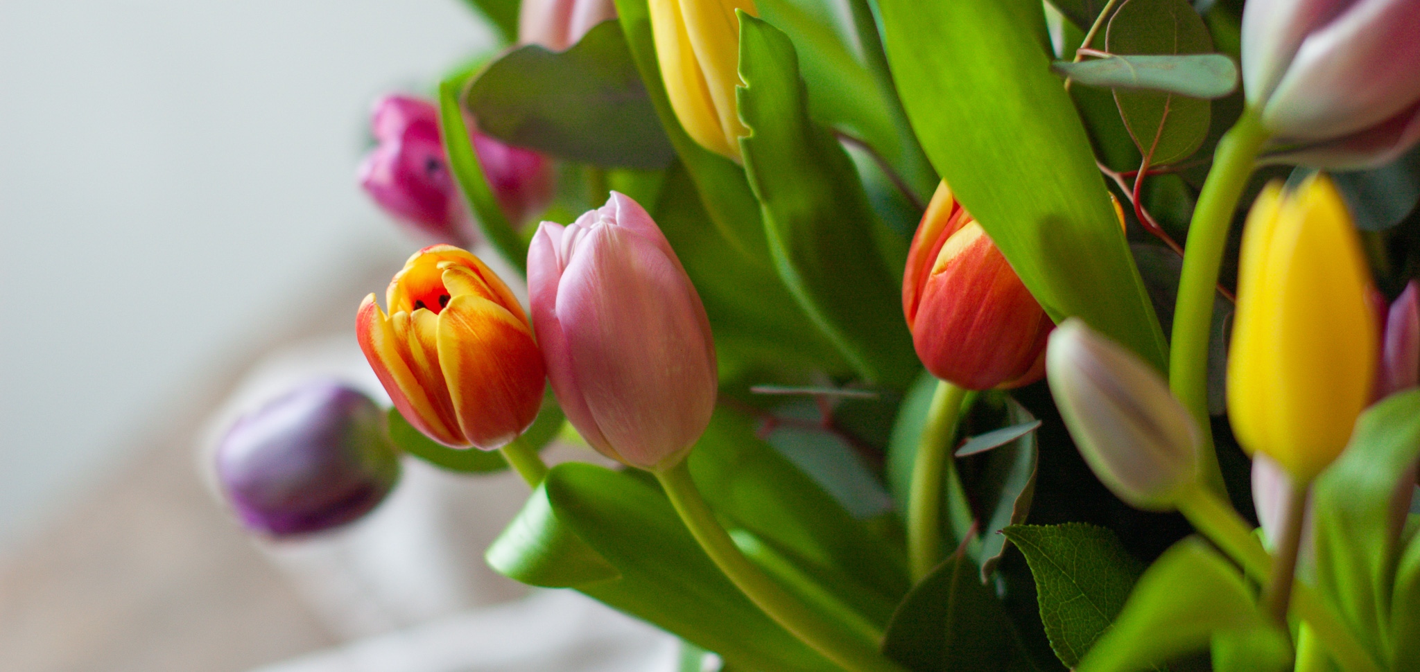 About:Westborn Market Departments