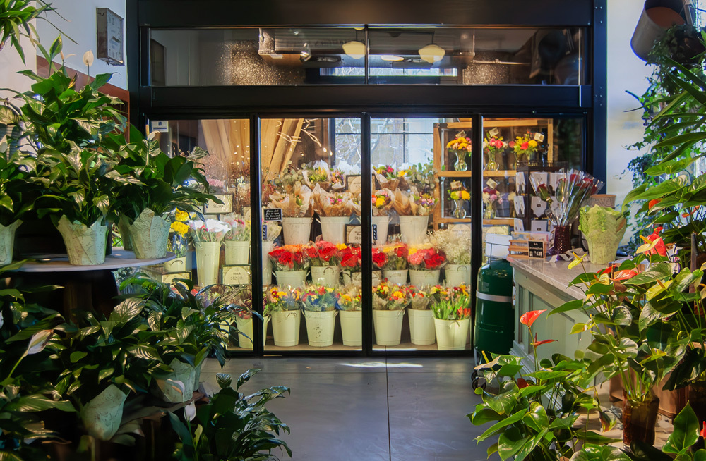 About:24 Web Plymouth Floral3