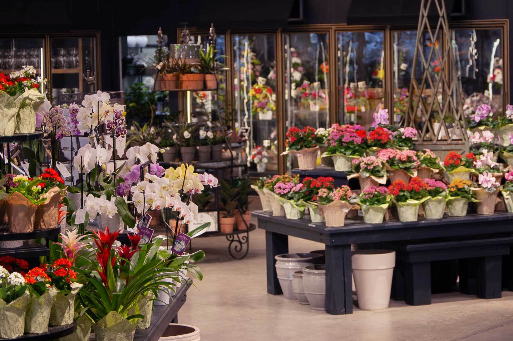 About:Livonia Floral2