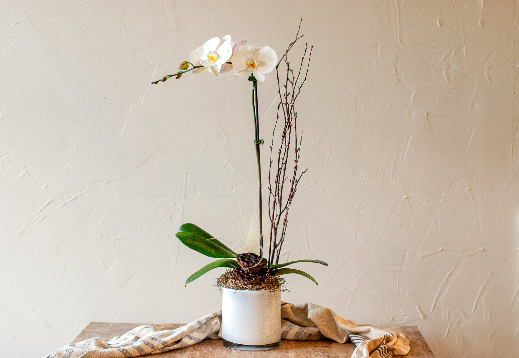 About: product commerce The Angel